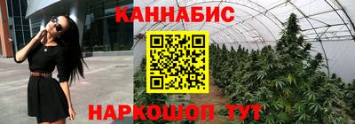 не бодяженный Гатчина