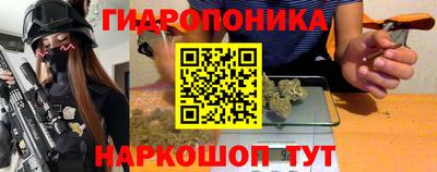 не бодяженный Гатчина