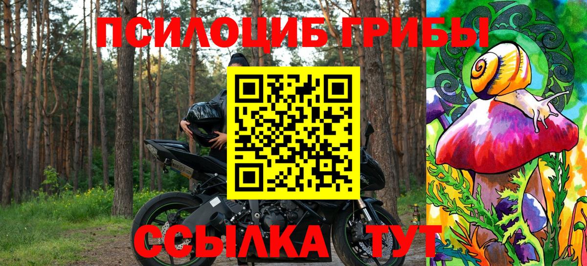 где найти   Галлюциногенные грибы ЛСД  Вход с VPN  Мариинск 