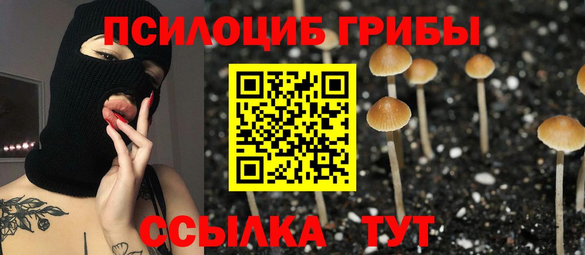 Псилоцибиновые грибы ЛСД Мариинск